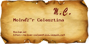 Molnár Celesztina névjegykártya